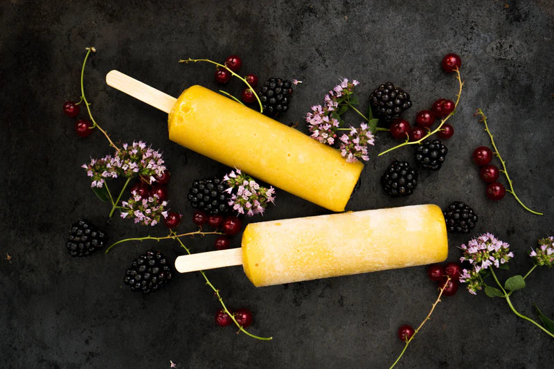 Eisformen ECO Ice Pops (6 Stk.) rund Edelstahl