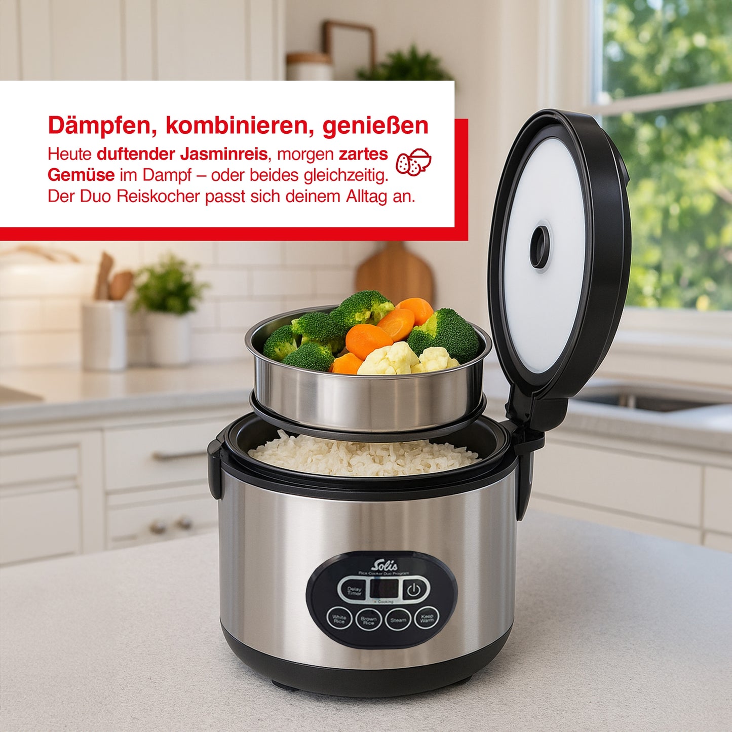 Reiskocher und Dampfgarer Rice Cooker Duo Programm (Typ 817)