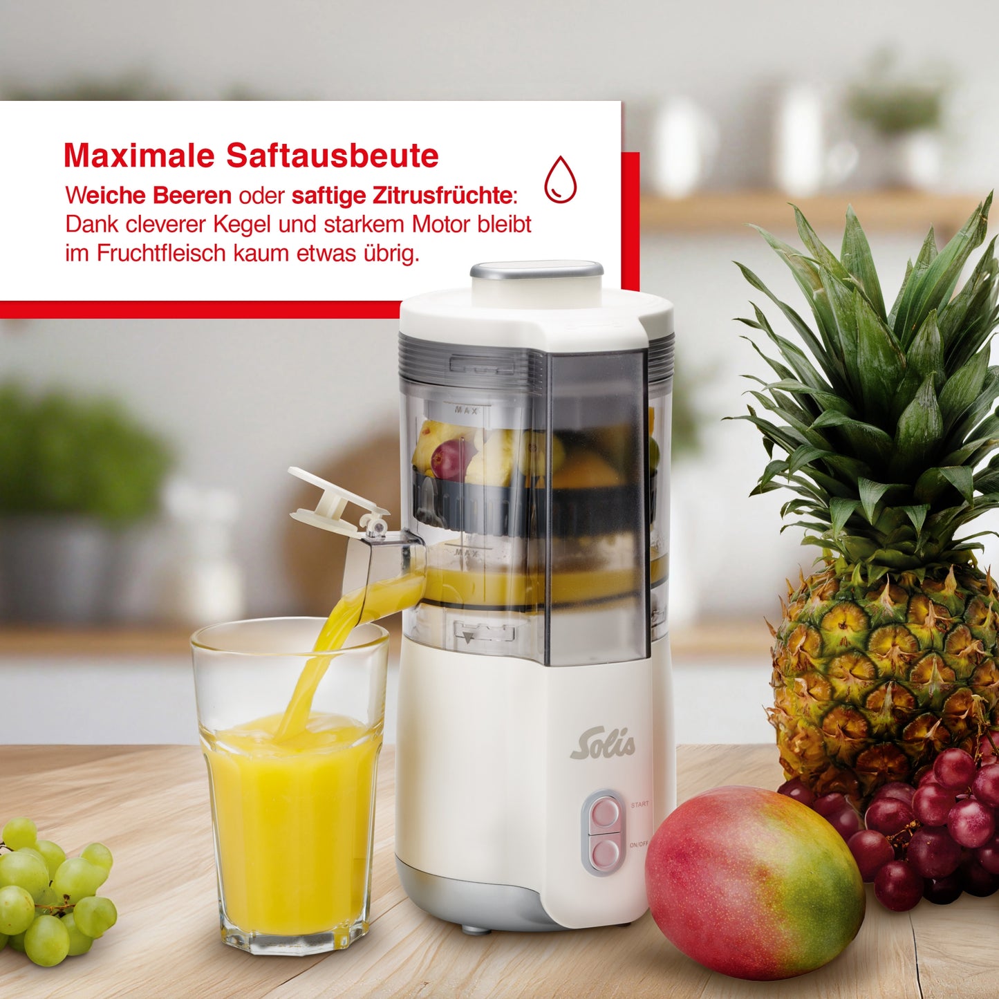 Vollautomatischer Entsafter Multi-Juicer (Typ 8455)