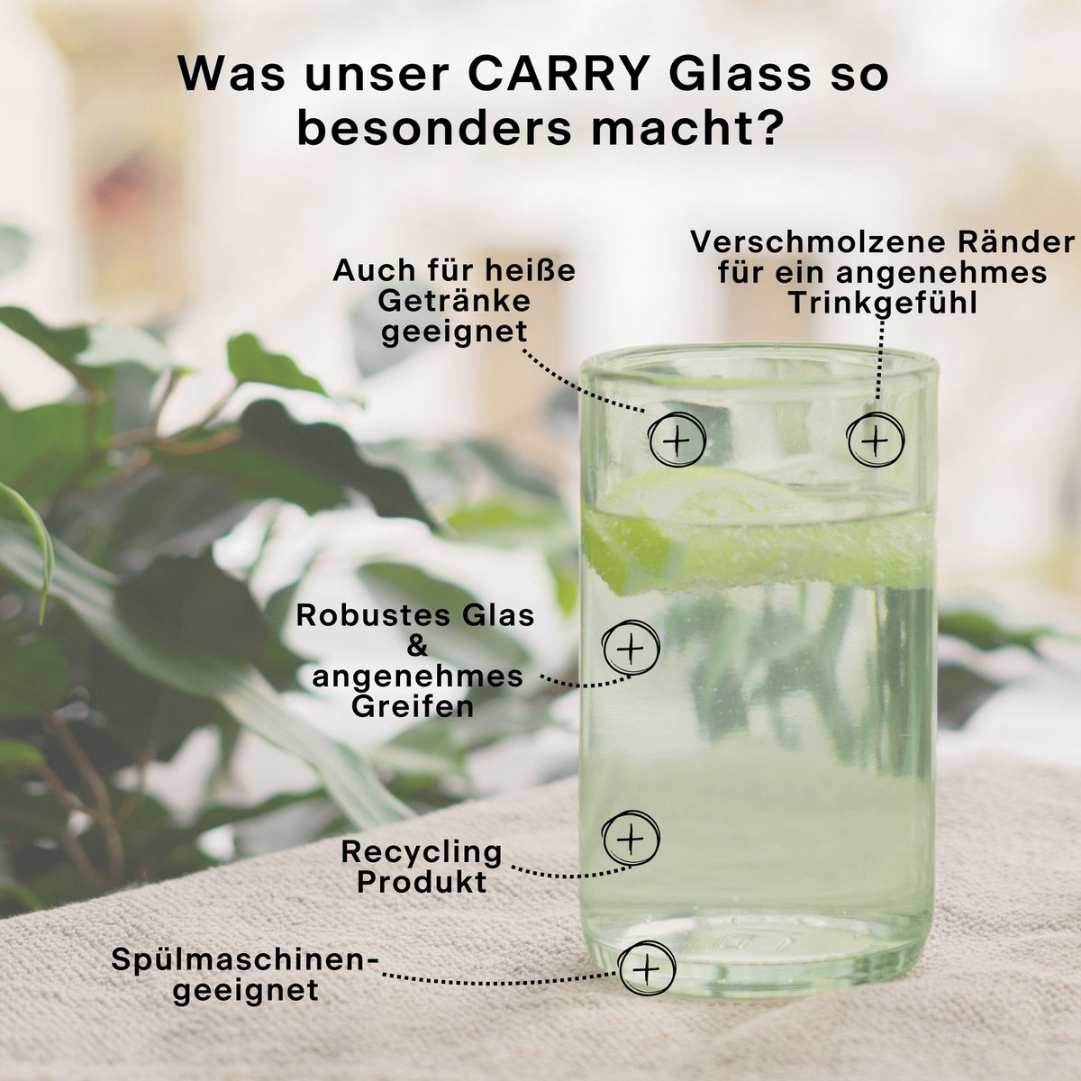 GREEN CARRY GLASS 300 ml Trinkglas 2er Set - RECYCLING