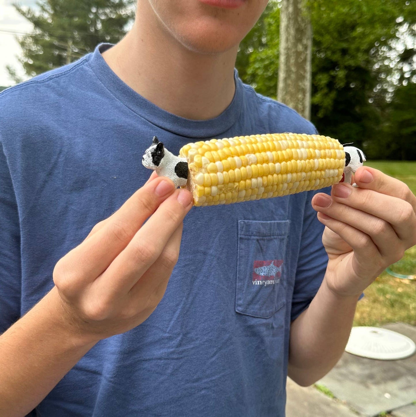 Outset Maiskolbenhalter Frenchie 4 Stück