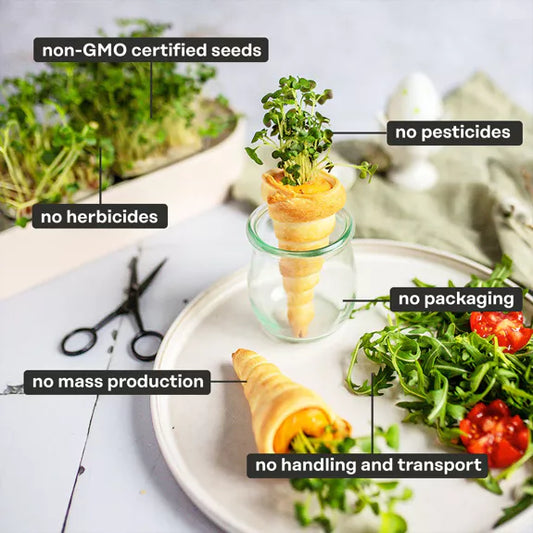 Bio Senf - Microgreen Superfood Seed Pads | 100% Bio | Vollständig ausgewachsen 1 Monatsvorrat