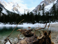 PiepEi Eieruhr zum Mitkochen „Camping“
