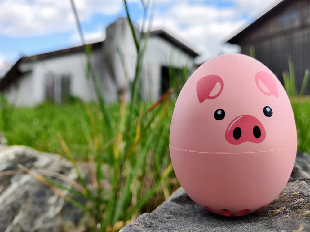 PiepEi Eieruhr zum Mitkochen „Schweinchen“