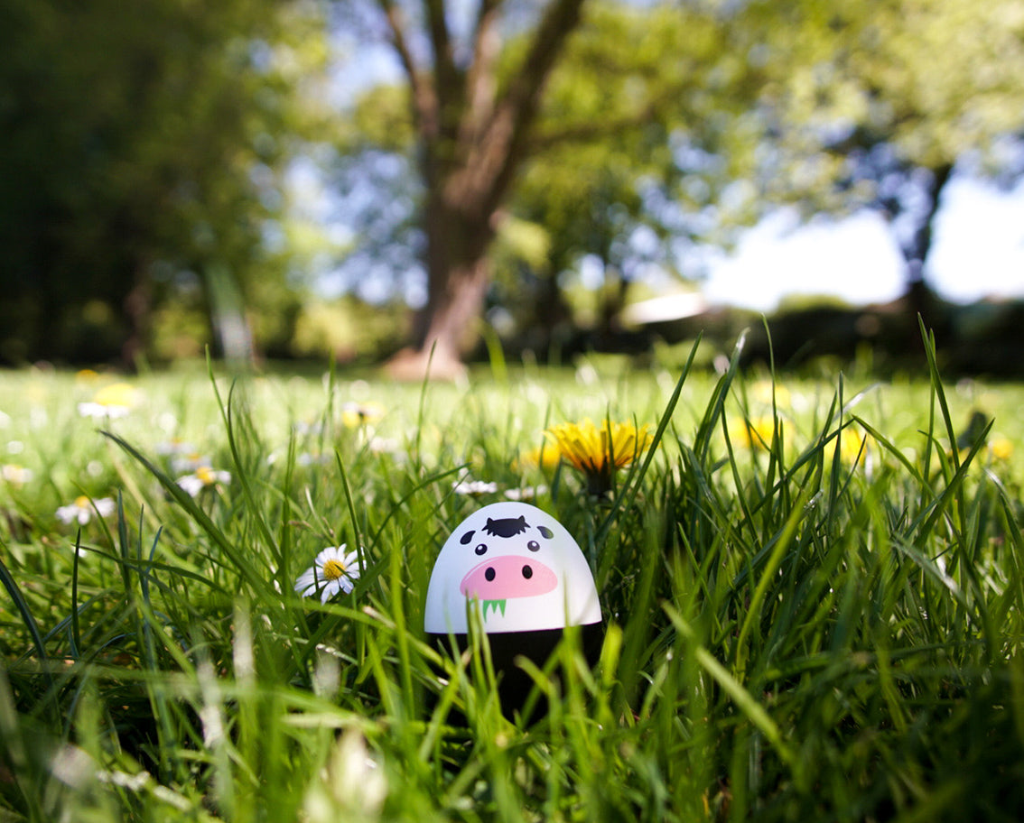 PiepEi Eieruhr zum Mitkochen „Muhkuh“