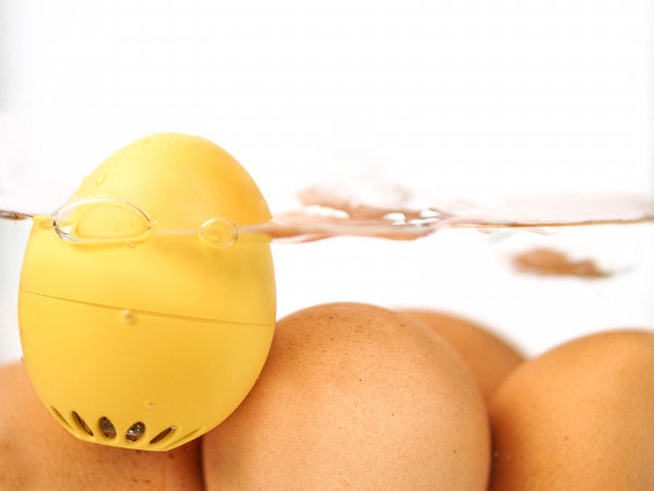 PiepEi Eieruhr zum Mitkochen „Detlev“