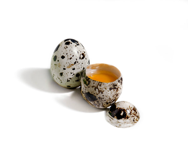 Wachteleierschere 14 x 6 cm