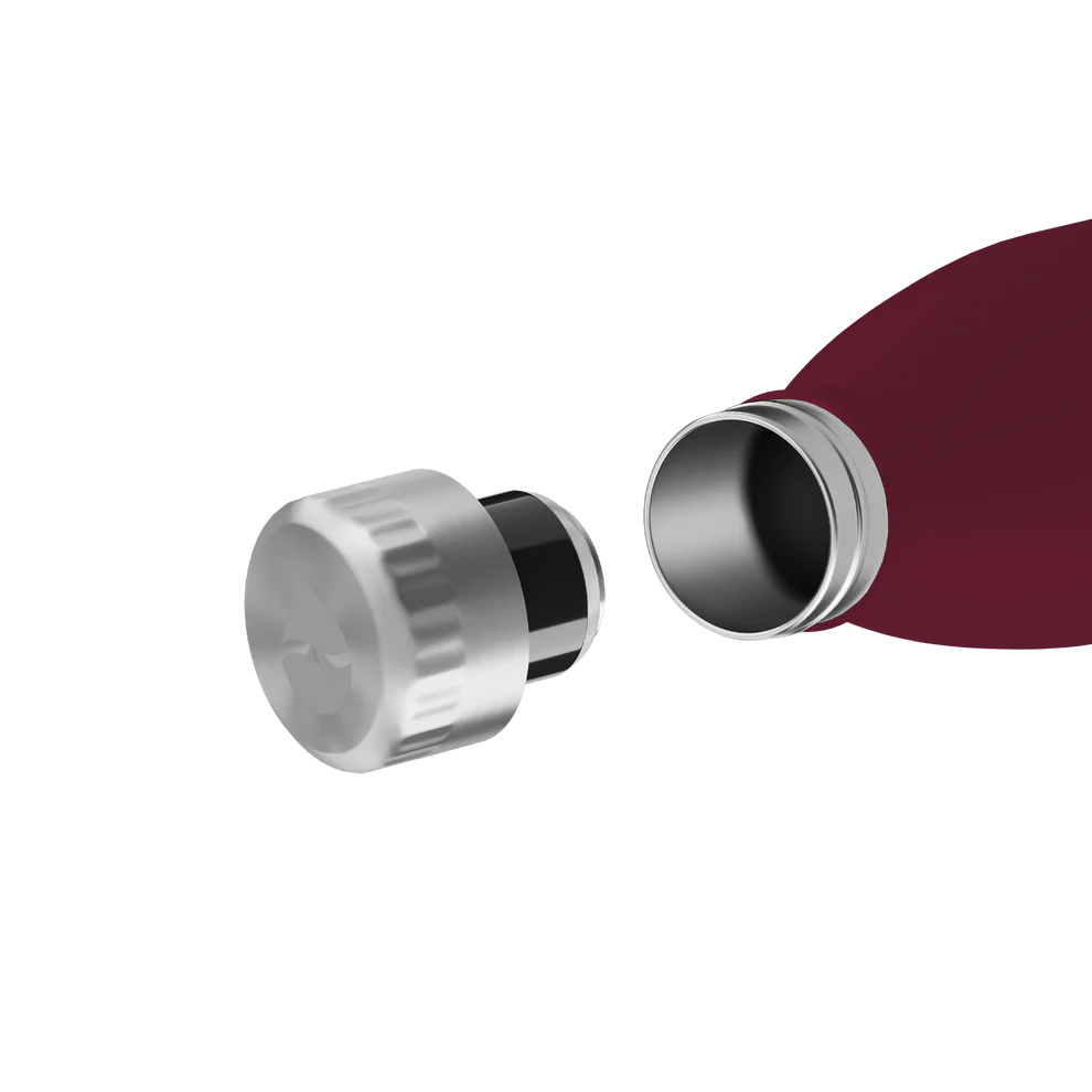 Trinkflasche FLSK 0,5l winterberry To-Go / Bottle