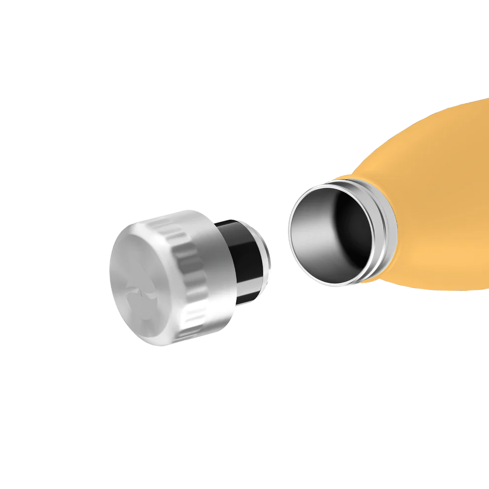 Trinkflasche FLSK 0,5l sunrise To-Go / Bottle