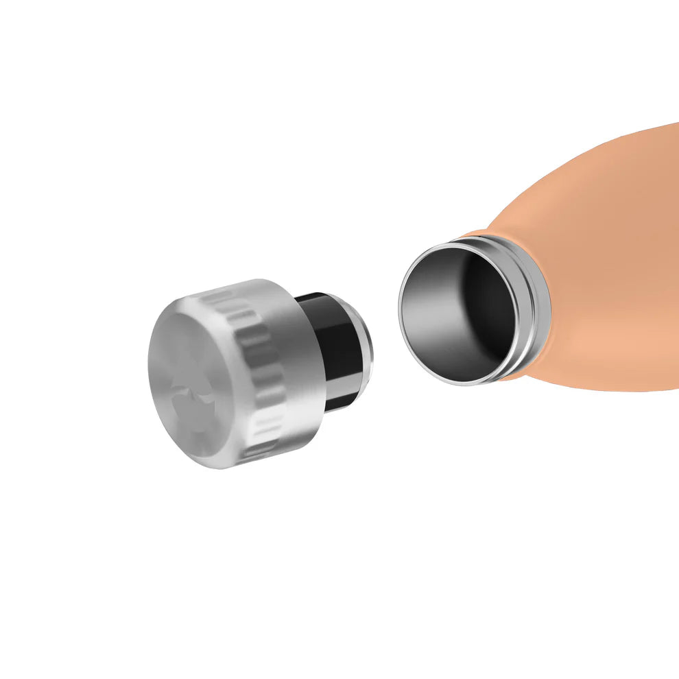 Trinkflasche FLSK 0,75l peach To-Go / Bottle