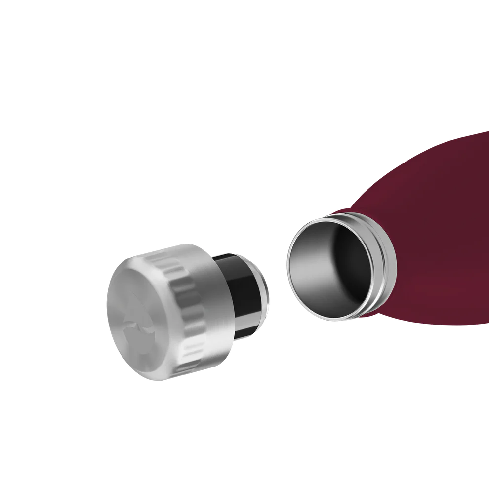 Trinkflasche FLSK 1l winterberry To-Go / Bottle
