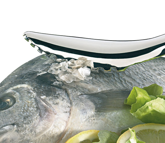 Fischentschupper Küchenhelfer