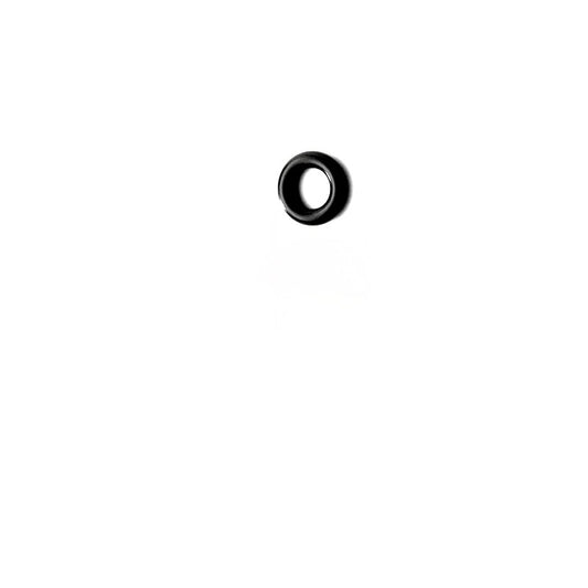 O-Ring  zu Euromatik Vitavit Royal ab 1995