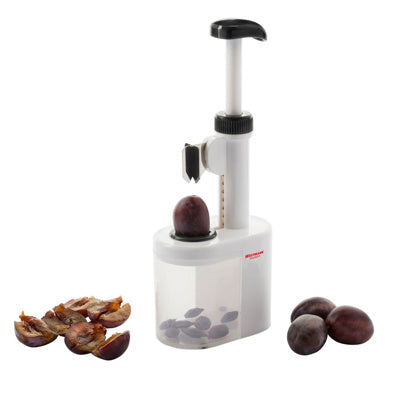 Pflaumenentsteiner »Prunus«