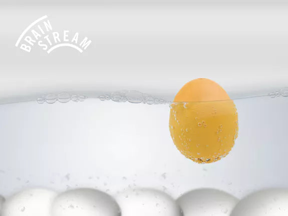 PiepEi Eieruhr zum mitkochen Die Maus