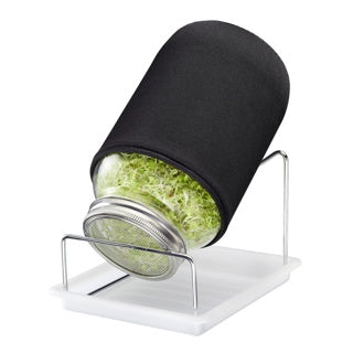 Sprossenglas-Set, 1 Glas, 2000 ml