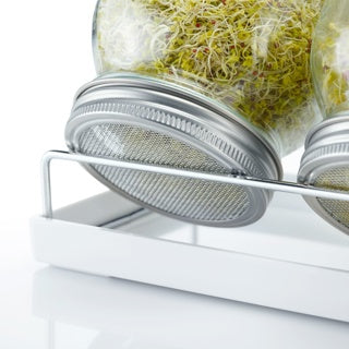 Sprossenglas-Set, 2 Gläser, 950 ml