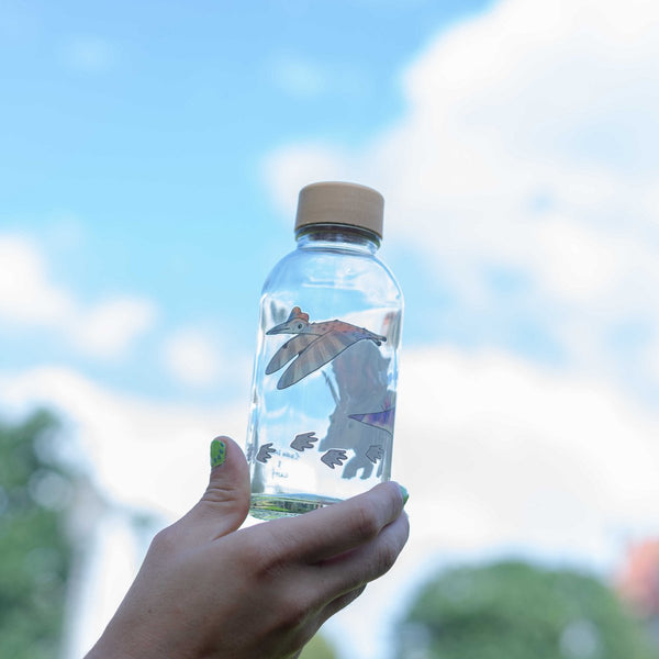 Trinkflasche Glas LITTLE DINO 0,4 l