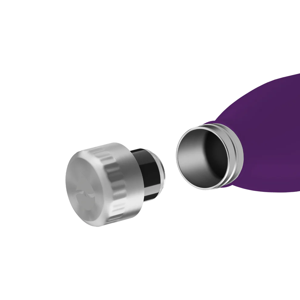 Trinkflasche FLSK 1l nordic plum To-Go / Bottle