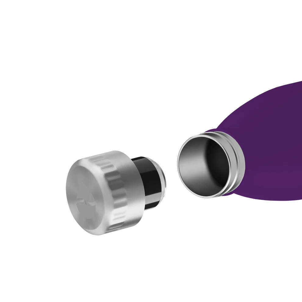 Trinkflasche FLSK 0,75l nordic plum To-Go / Bottle