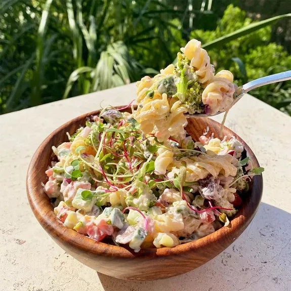 Bio Rucola Superfood - Microgreen Superfood Seed Pads | 100% Bio | Vollständig ausgewachsen 1 Monatsvorrat