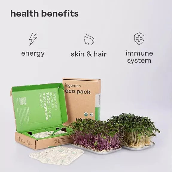 Bio Rucola Superfood - Microgreen Superfood Seed Pads | 100% Bio | Vollständig ausgewachsen 1 Monatsvorrat