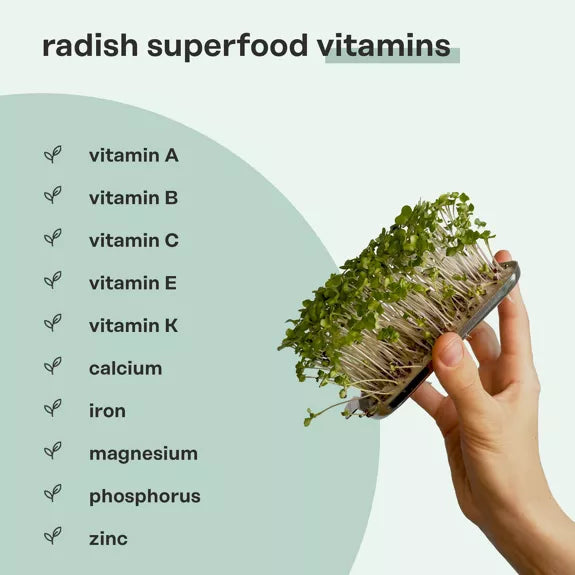 Bio Superfood Mix - Microgreen Superfood Seed Pads | 100% Bio | Vollständig ausgewachsen 1 Monatsvorrat