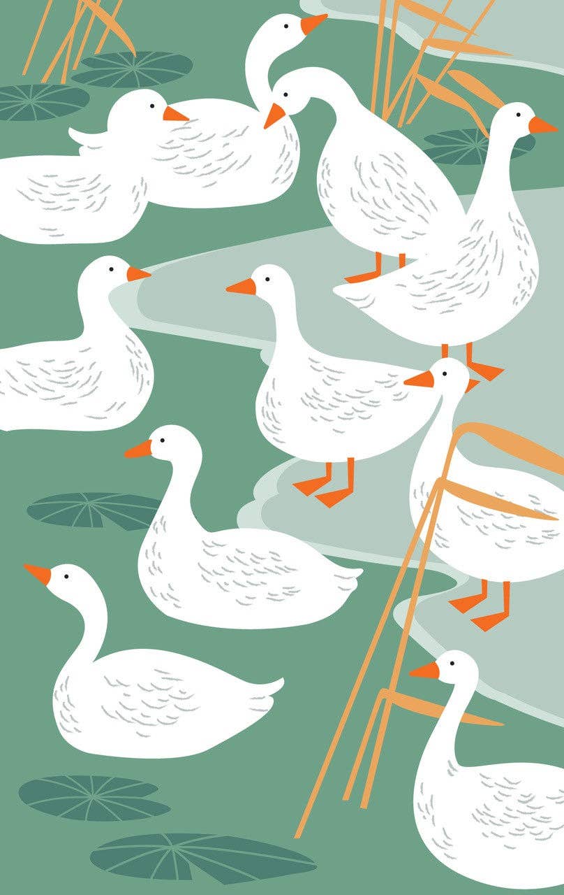 Geschirrtuch - Ducks Baumwolle 74cm x 47cm