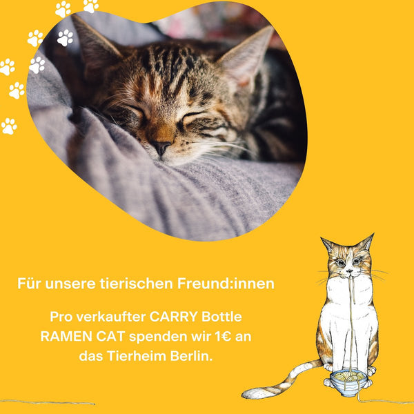 Trinkflasche Glas RAMEN CAT 0,7 l