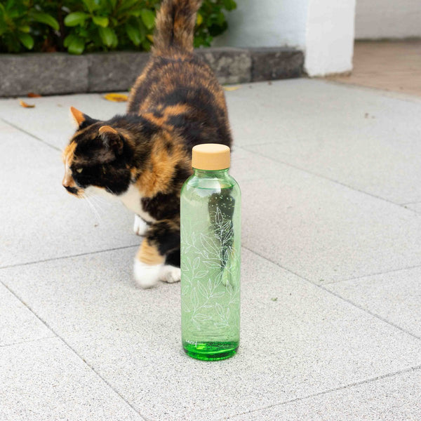 Trinkflasche Glas GREEN HARMONY 0,7 l