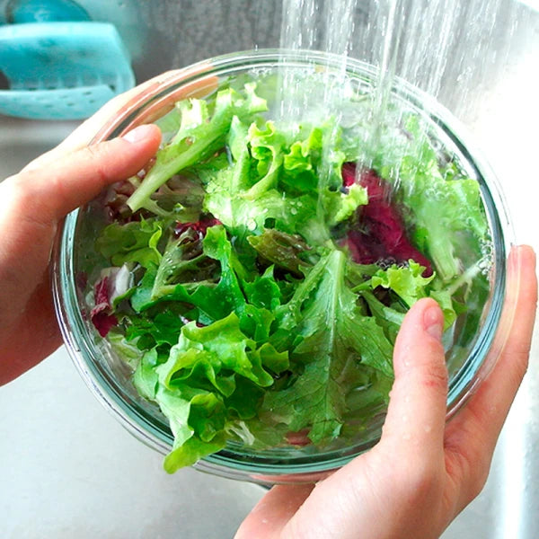 Glasschüssel mit Deckel Bowl rund 1 Liter