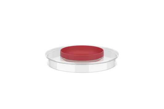Spritzdeckel Rührschüssel Chef It 3000 ml - coral