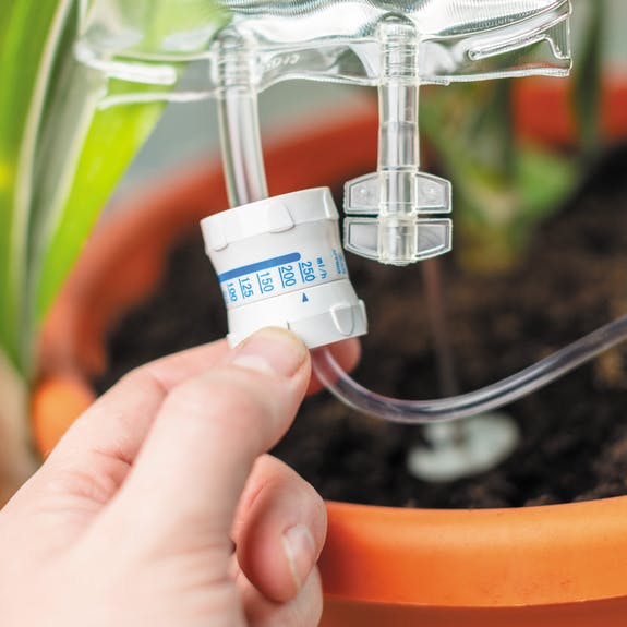 Bewässerungssystem "Plant Life Support" 350 ml Beutel ~ für Küchenkräuter